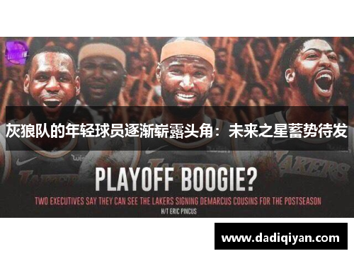 灰狼队的年轻球员逐渐崭露头角：未来之星蓄势待发